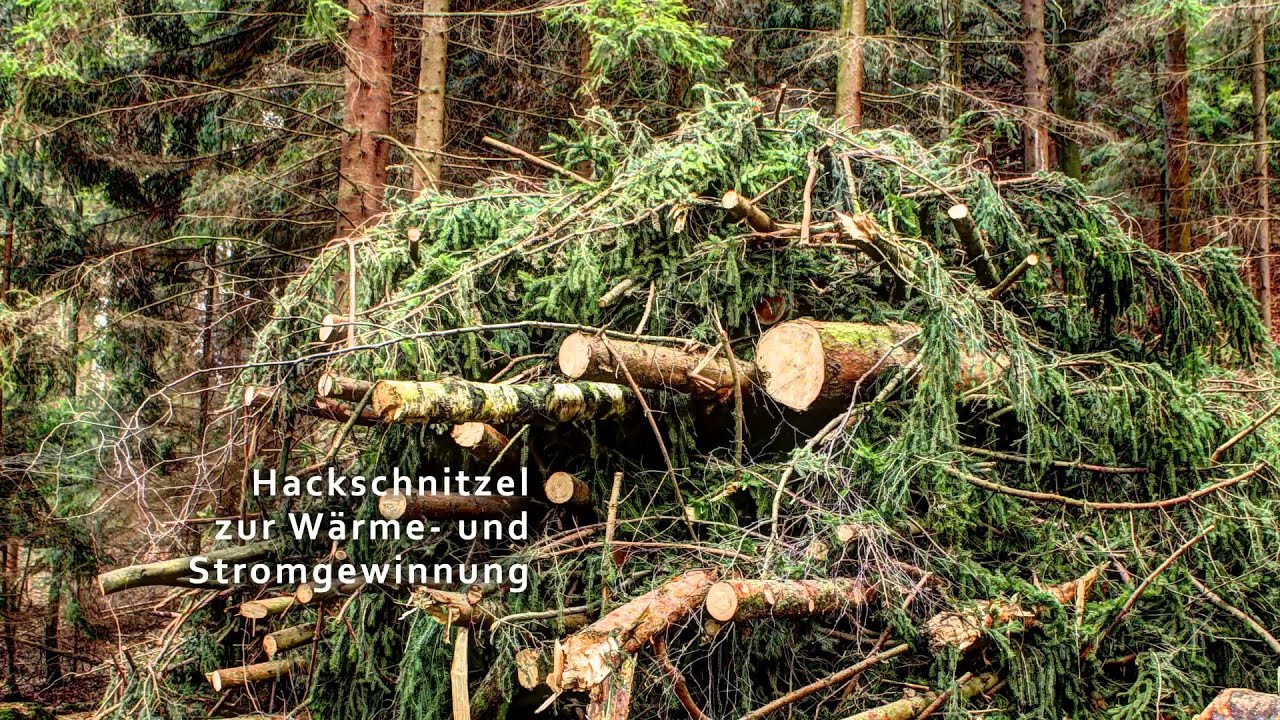 Dokumentation Hackschnitzelproduktion - vom Wald bis ins Heiz(-kraft)werk