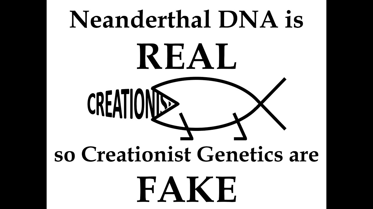 Neanderthal DNA is REAL, so Creationist Genetics are FAKE