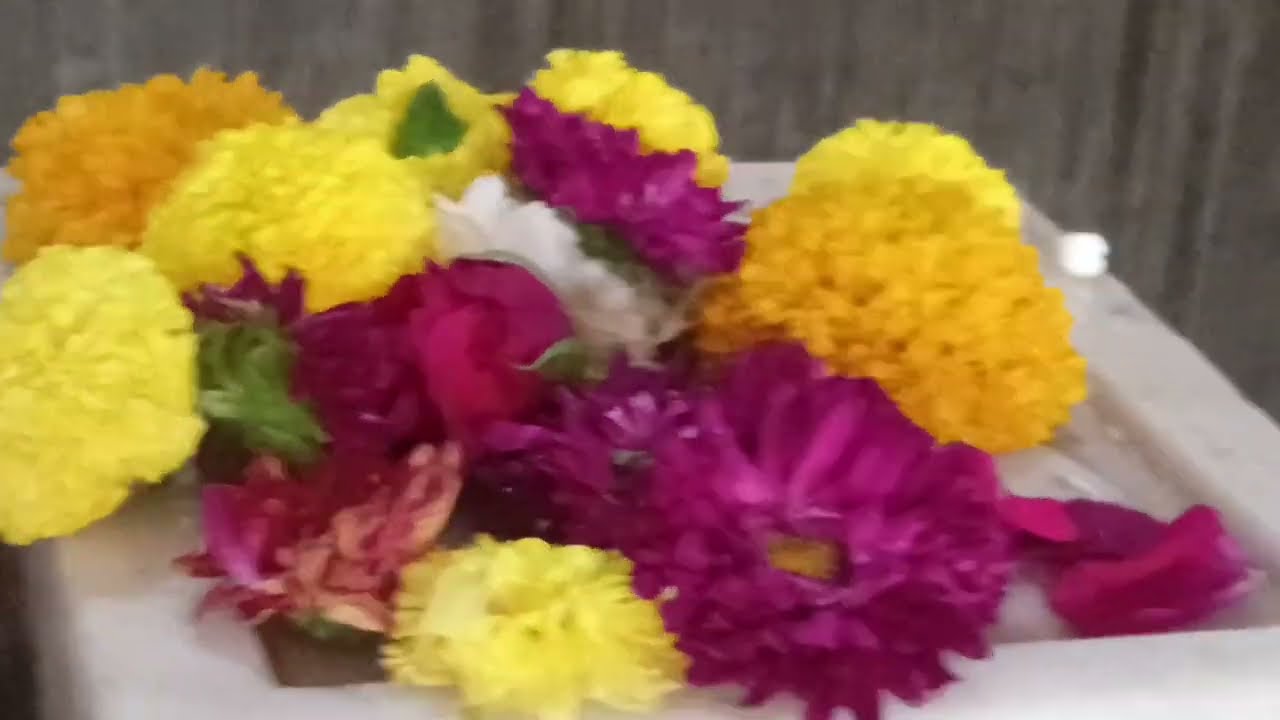Sampurn Darshan Shri Shani Shingnapur Maharashtra 🙏🇮🇳❤️🙏🌹