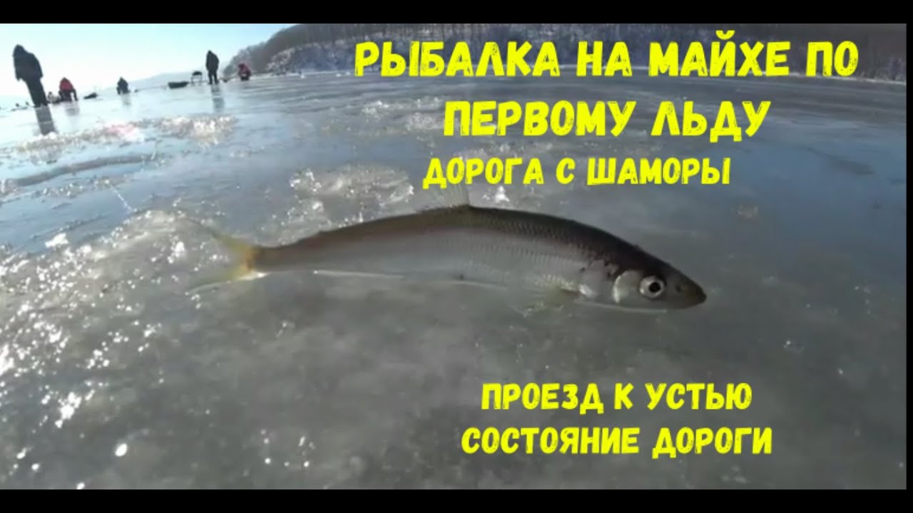 Рыбалка на речке Майхе по первому льду. Дорога с Шамары, состояние подъездов