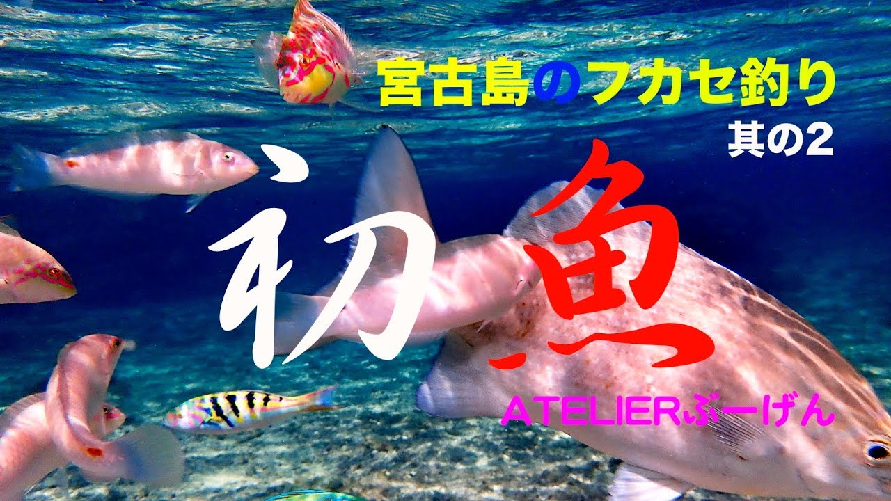宮古島でのフカセ釣り 其の二
