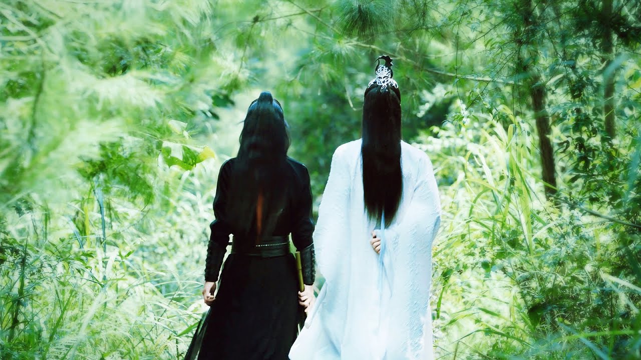진정령陈情令 현재편 Fan MV  - 위화衛華 (안예은)