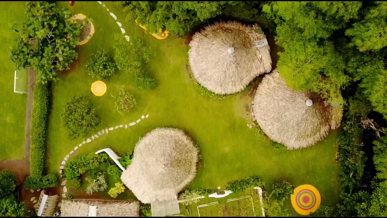 El Colegio Ideas,  un nicho ecológico en Cali - Colombia