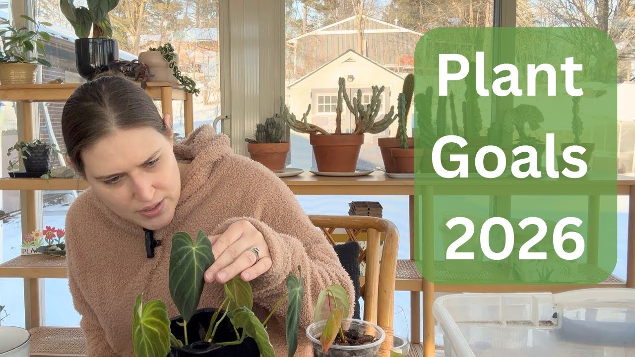 My 2026 Plant Goals 🌿 + YouTube Intentions for This Channel