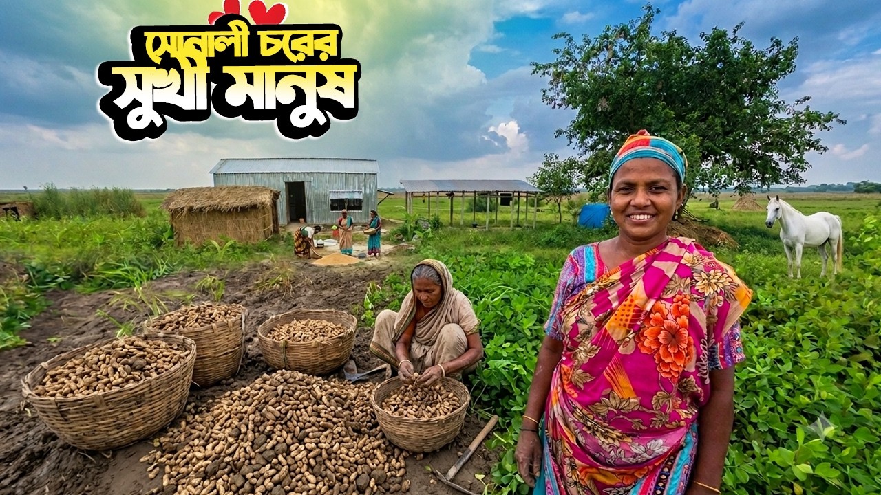 Happy People of the Golden Island | Story of a River Island in Bangladesh | Groundnut Farming Doc...