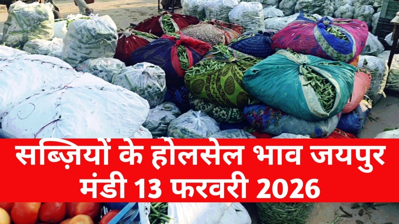 13 फरवरी 2026 सब्जियों का भाव | जयपुर सब्जी भाव | सब्ज़ियों के भाव जयपुर / vegetable market Jaipur