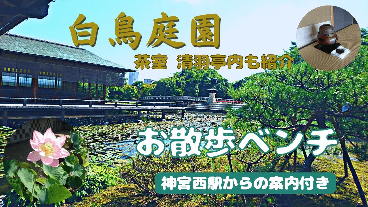 【思い出作りの散歩道】 名古屋 白鳥庭園:Walk in Nagoya,Japan | Shirotoriteien