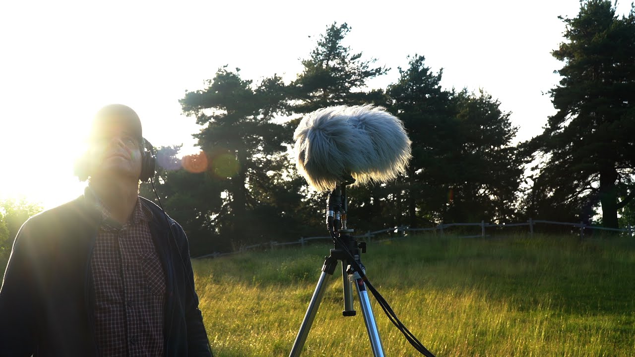 Audio Equipment for field recording