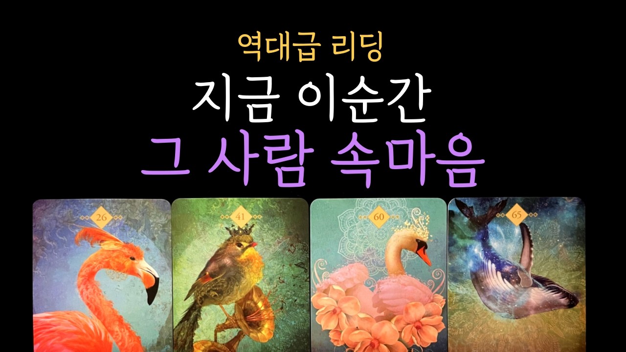 [타로 속마음]✨역대급 리딩❗지금 이 순간 그 사람 속마음 전부 알려드려요❤️ 짝사랑·커플·썸·재회
