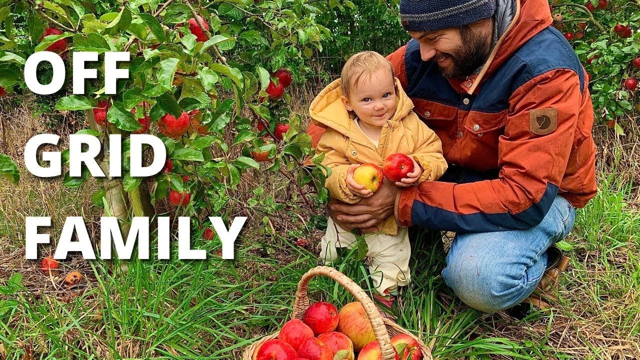 FOOD FOREST HARVEST: Sloes and Apples for sloe gin and apple pie vodka! OFF GRID FAMILY life