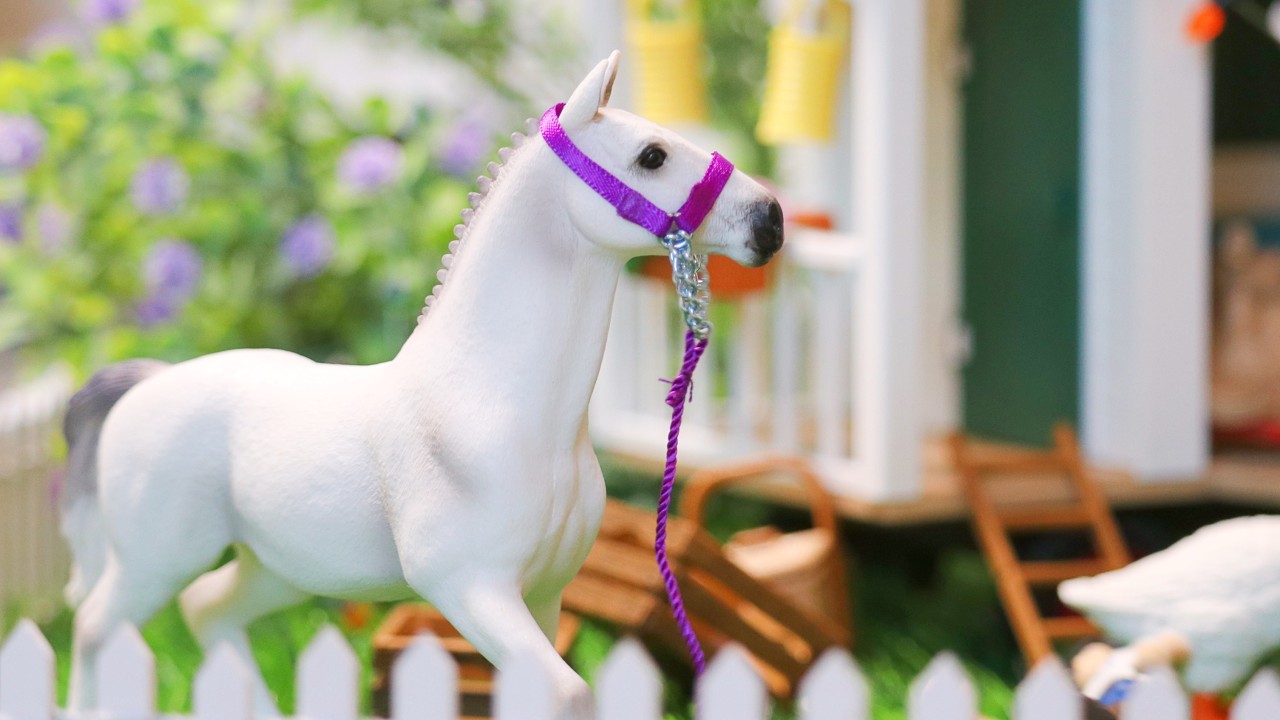 Racing Hearts - Episode 2 - Schleich Horse Series