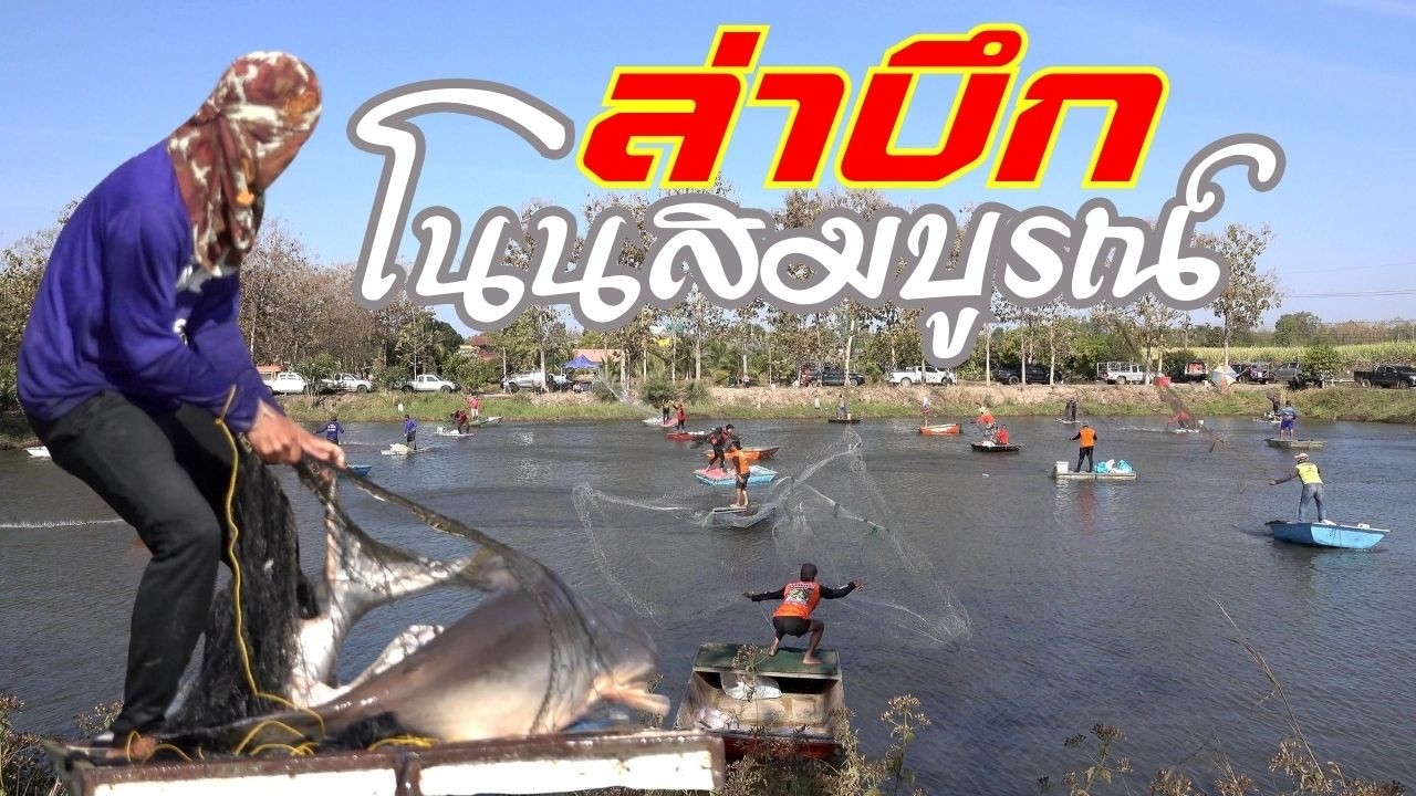 หว่านแหล่าบึกใหญ่โนนสมบูรณ์ คลิปเต็ม