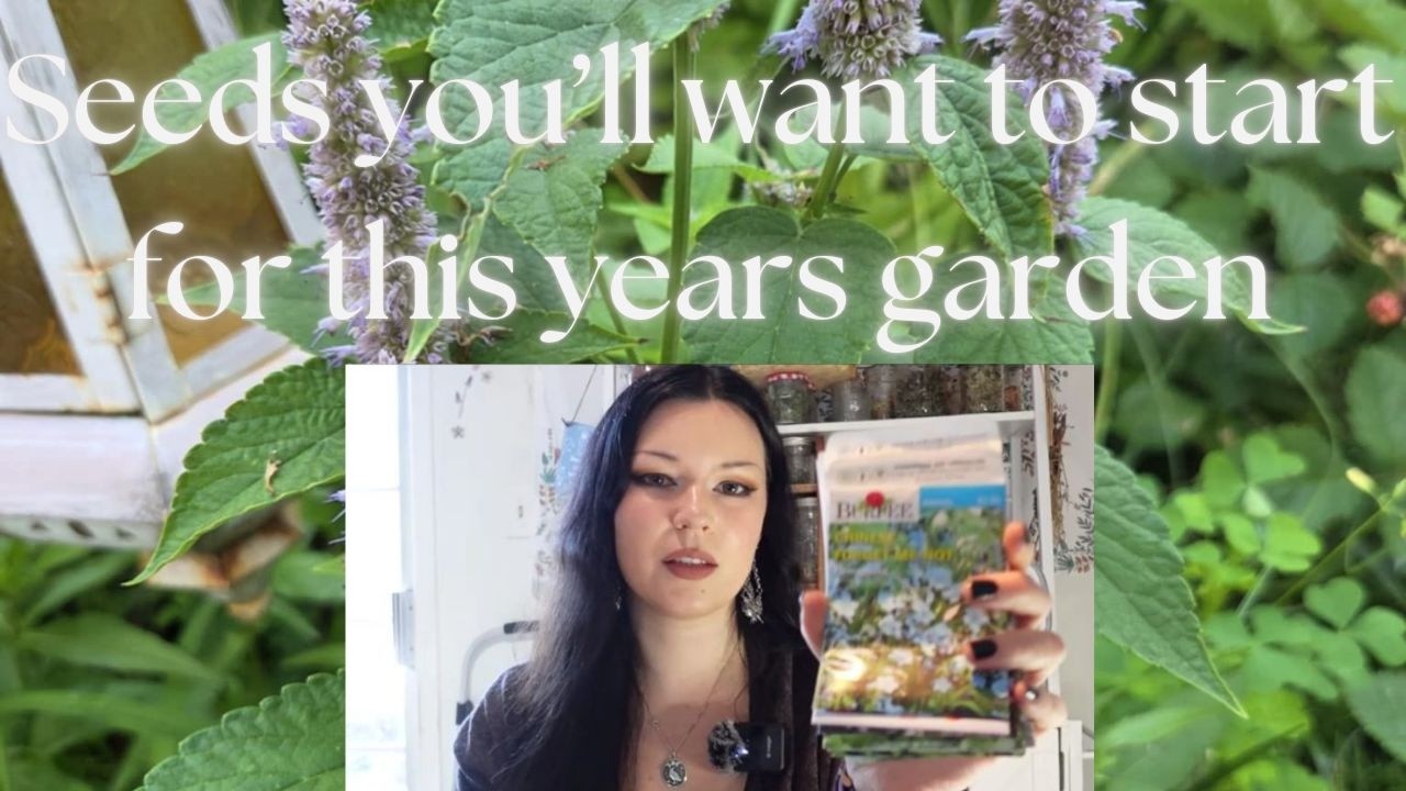 🌱Seeds I'm growing this year~herbs, vegetables and flowers~and why I'm growing them
