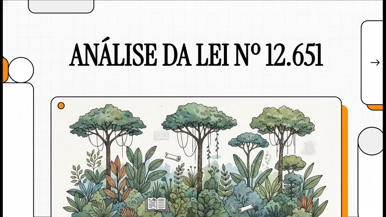 Lei 12.651/2012 - Resumo do Código Florestal Brasileiro explicada de forma simples