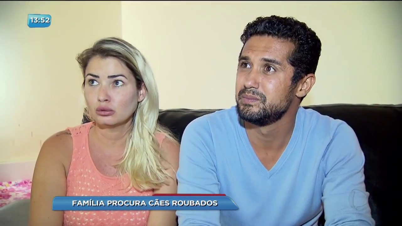 BG - Família procura cães roubados - 31-08-2017