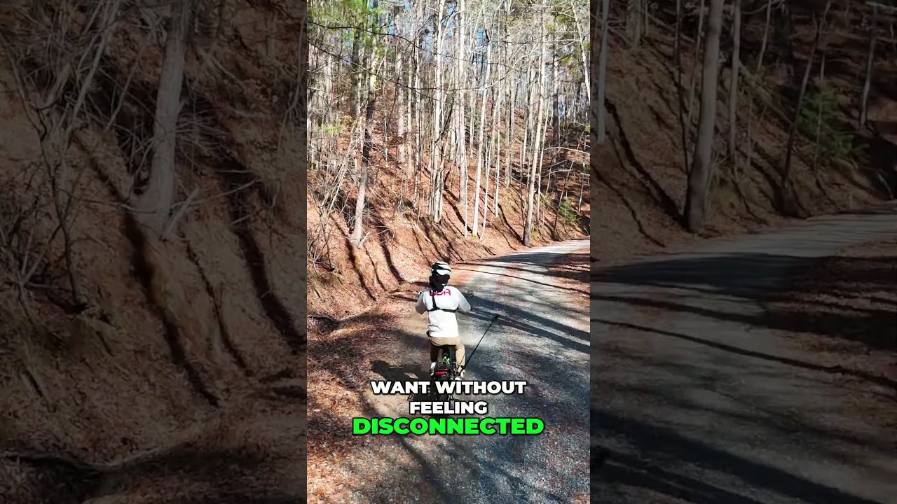 Kingbull Light Rider 2.0: плавная работа и невероятные тормоза (проверено) 