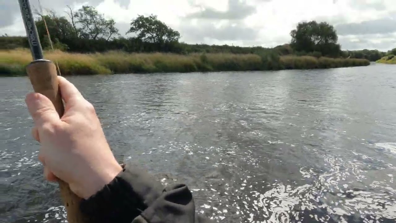 River Feale Salmon Fishing August 2024 - part  1