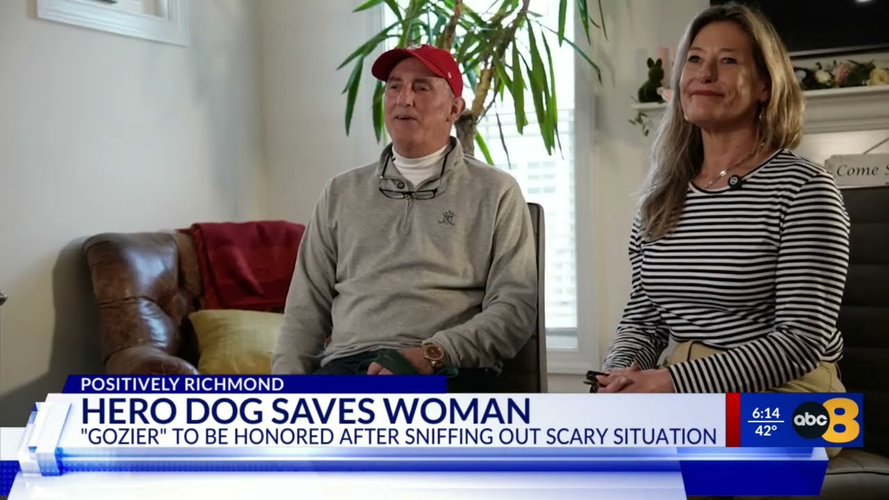 'She's like no other': Ashland dog recognized for life-saving rescue