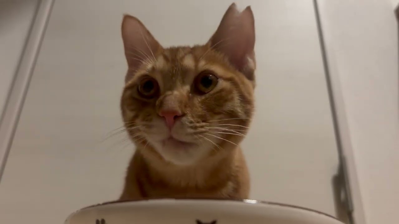 【モッパン】103