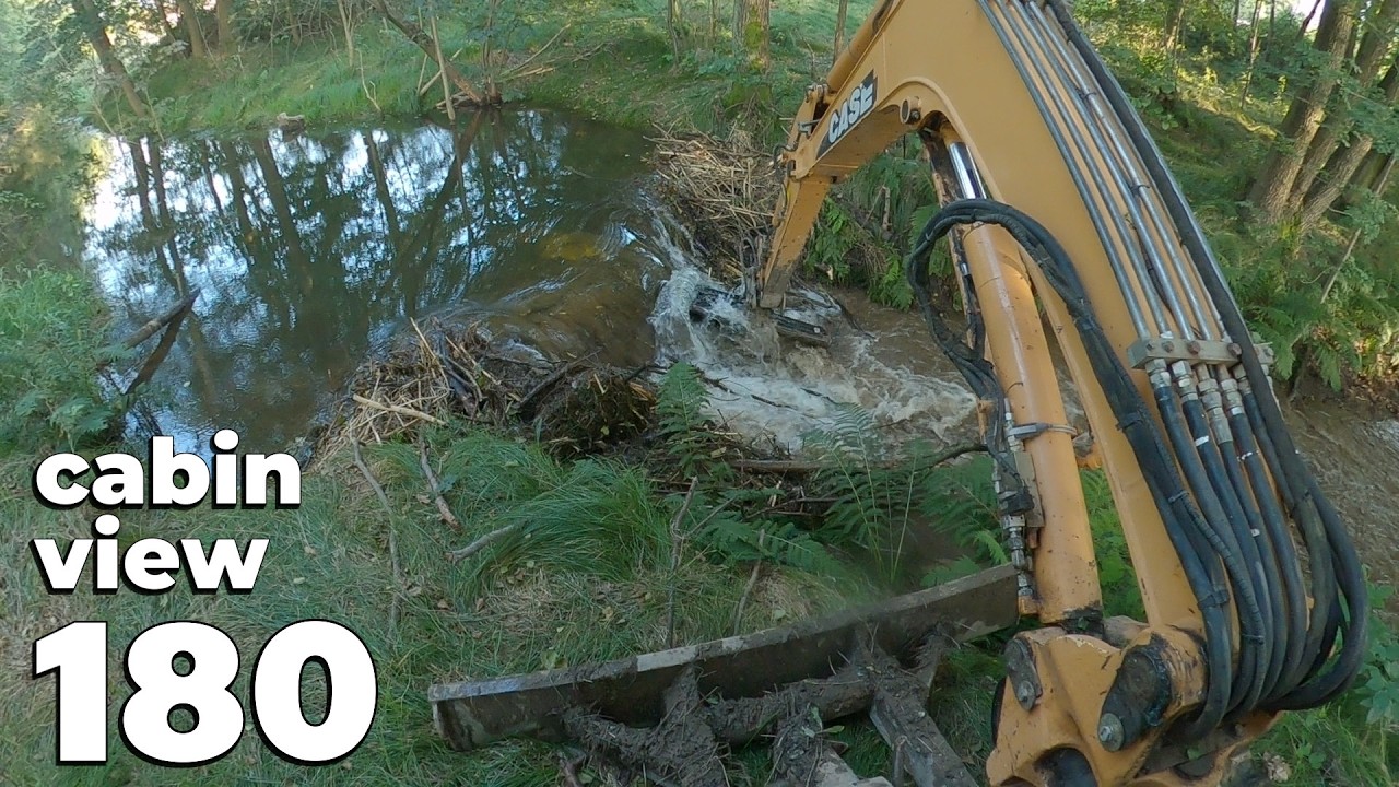 A Beaver Dam In The Forest - Beaver Dam Removal With Excavator No.180 - Cabin View