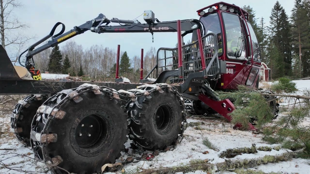 Kvistning med Husqvarna 540 XP Mark III och skotning med Alstor