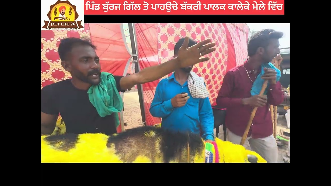 ਪਿੰਡ ਬੁਰਜ ਤੋ ਭਰਾ ਪਾਹਉਚੇ ਅਪਣੀਆ ਬੱਕਰੀਆ ਲੈਕੇ ਕਾਲੇਕੇ ਮੇਲੇ ਵਿੱਚ ਸੁਣੋ ਗੱਲ ਬਾਤ ਭਰਾਵਾਂ ਦੀ ਵੀਡੀਓ 📷 ਵਿੱਚ 🎙️🐐🤙