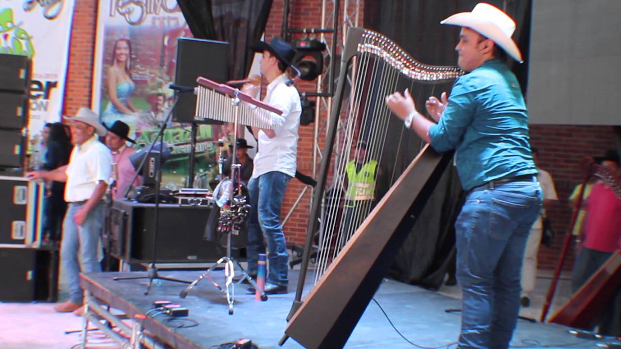 Cholo Valderrama - Toda Esta Sabana Es Mía | En Vivo Festival del Arroz, Aguazul Casanare