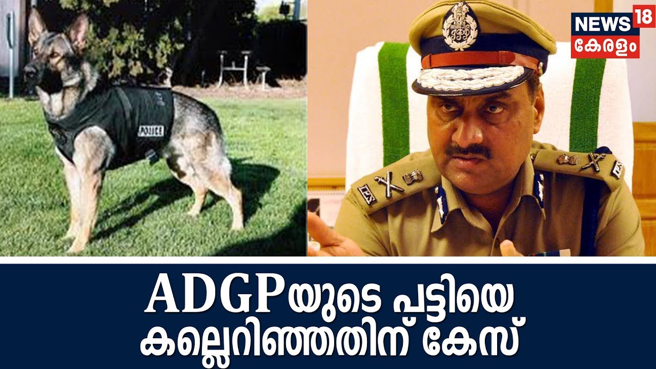 Breaking: ADGP സുദേഷ് കുമാറിന്റെ നായയെ കല്ലെറിഞ്ഞതിന് കേസ്; നടപടി മൃഗസംരക്ഷണ വകുപ്പുകള്&zwj; പ്രകാരം
