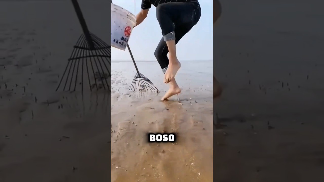 🦀 Oto Dlaczego Nie Można Chodzić Boso Na Plaży! 😱