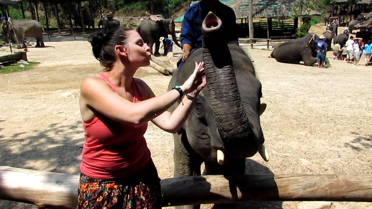 Elephant Kisses and cuddles