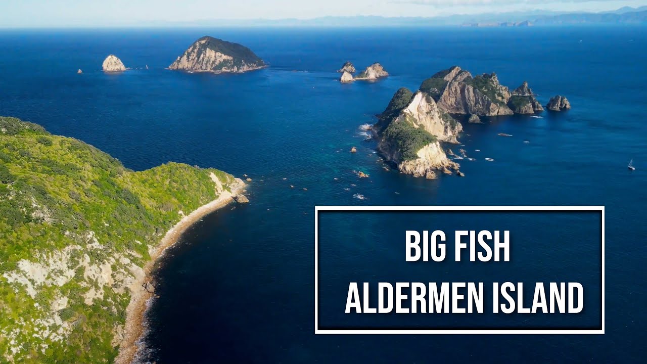 BIG FISH in ALDERMEN ISLANDS, Jetski Fishing Seadoo Fish pro. Slow pitch jigging,