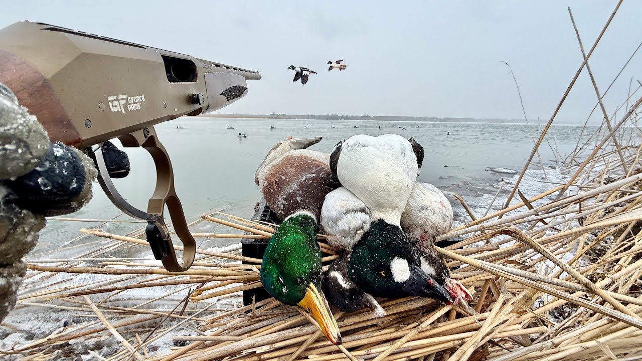 Mixed Bag Diver Duck Hunting a Freezing River!