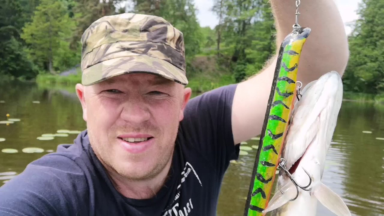 Рыбалка на десногорском водохранилище вначале июня. Джерк VS воблер.