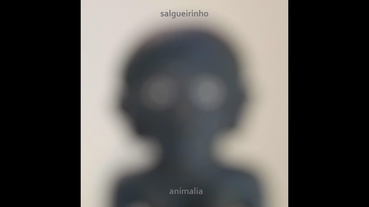 Leandro Salgueirinho - Animalia (2014, full album)