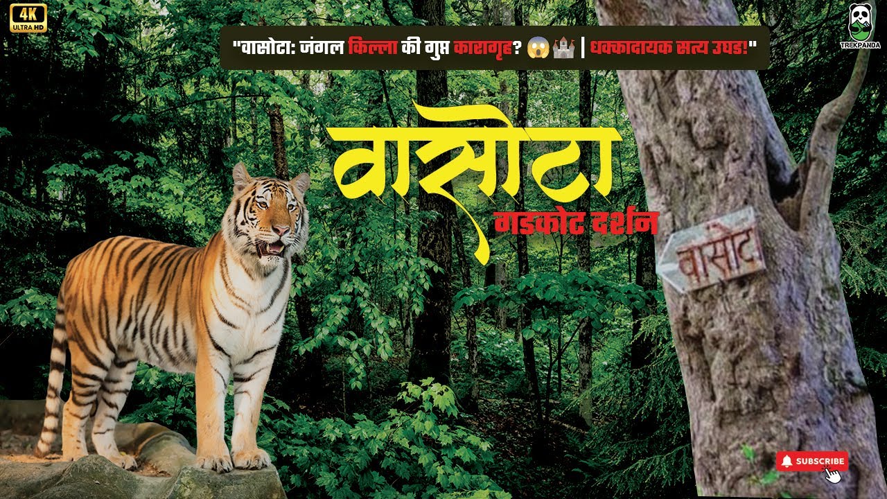 Vasota Jungle Trek & Camping Adventure with Trek Panda #trekpanda #vasotatrek#maharashtra #sahyadri