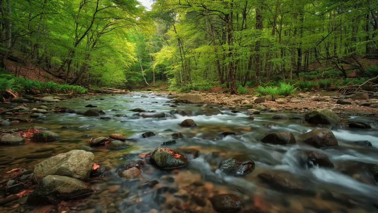 3 HOURS: Melt Away Stress NOW | Ultra Deep Relaxing Music for Profound Sleep & Instant Calm