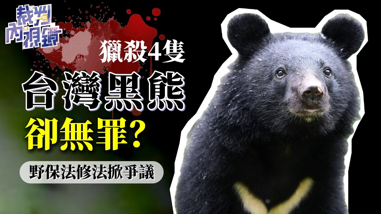 精華／殺台灣黑熊「三貼」載運　屏東霧台9原住民一審全數無罪！？｜#裁判內視鏡