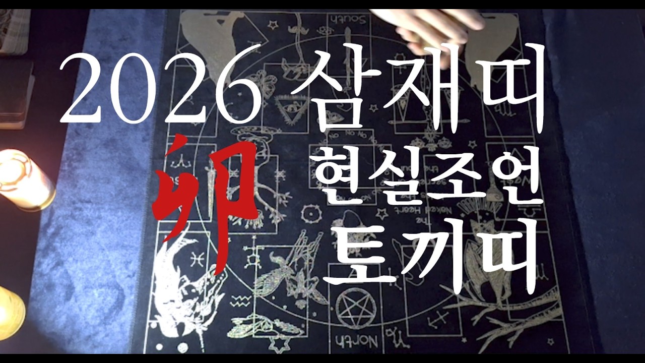 2026 삼재 토끼 현실조언(타로)