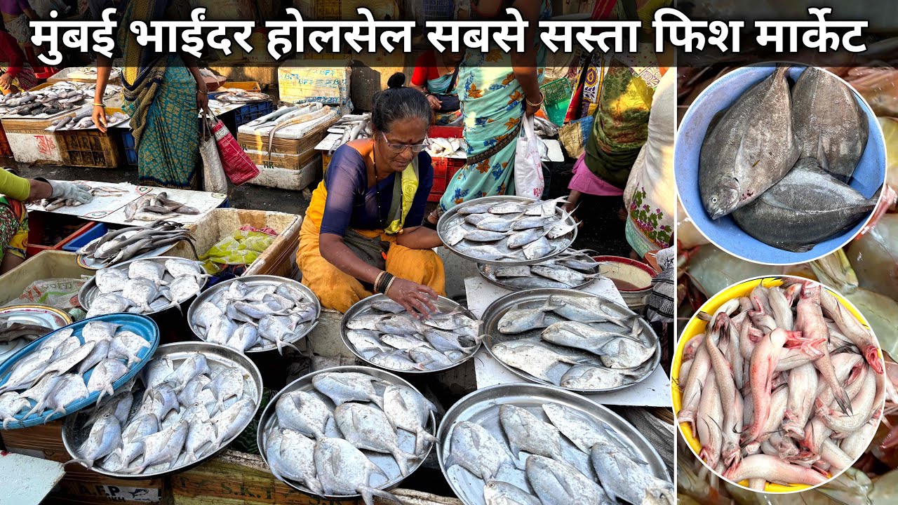 Mumbai Mira Bhayandar Fish Market | Bhayandar Fish Market | Bhayandar Wholesale Fish Market