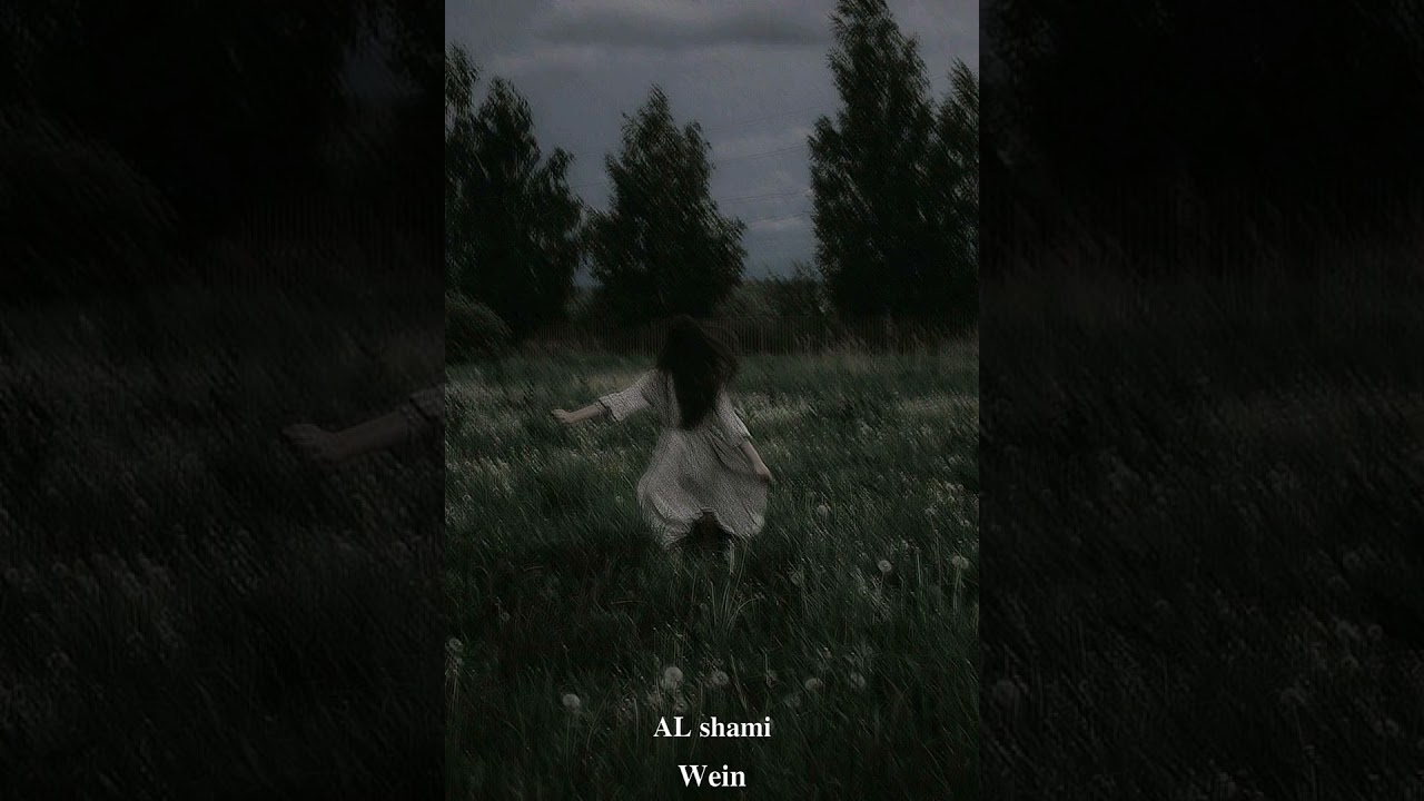 #al_shami وين بطيء