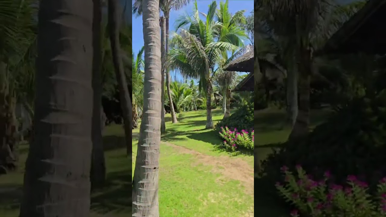 Review Bungalow Muine Bay Resort