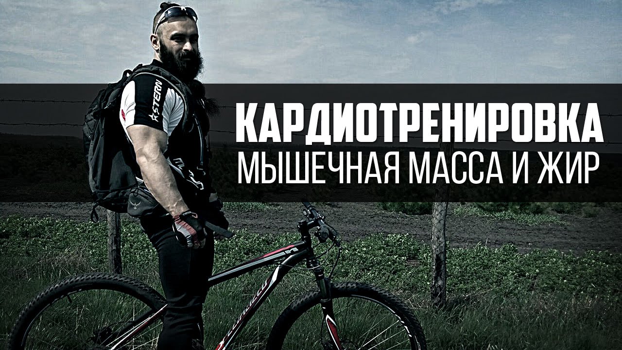 Кардиотренировка, сжигание жира и мышечная масса. Велосипед - выбор Бородача.