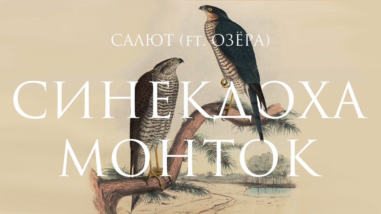 Синекдоха Монток ft. Озёра – Салют | Official Lyric Video