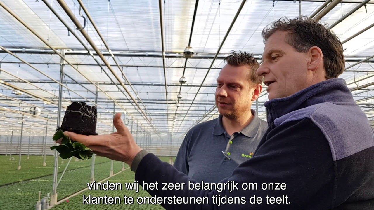 P. van der Haak Bedrijfsfilm