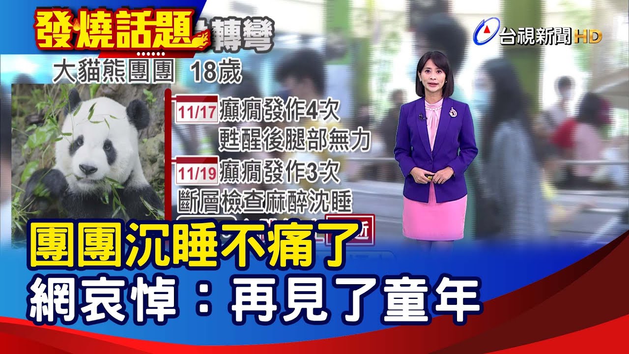 團團沉睡不痛了 網哀悼：再見了童年【發燒話題】-20221119