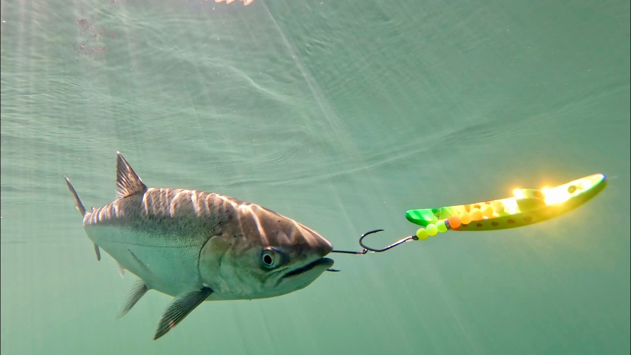 The BIGGEST Improvement to Salmon Fishing in Nearly Two Decades!