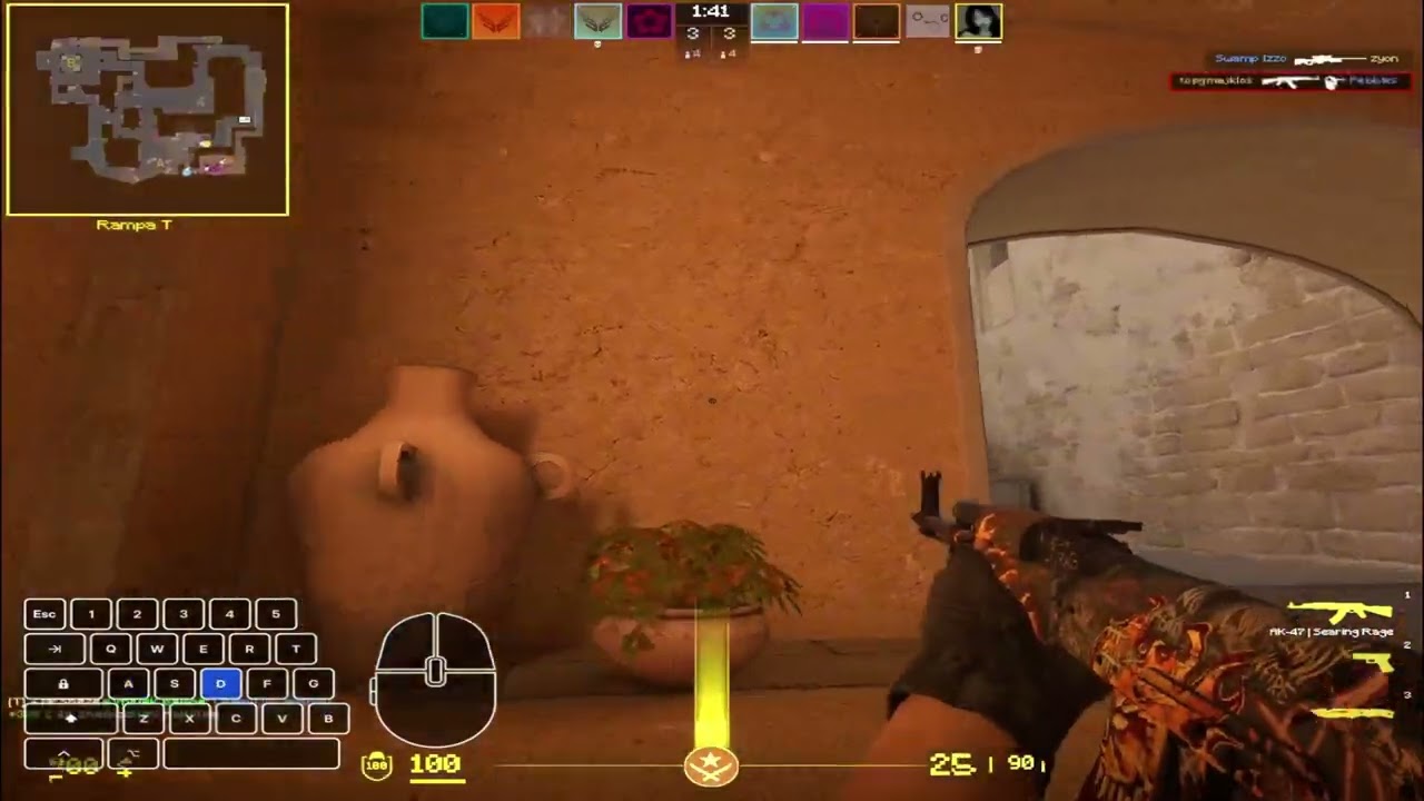 PASASO FUNK (CS2 MONTAGE)
