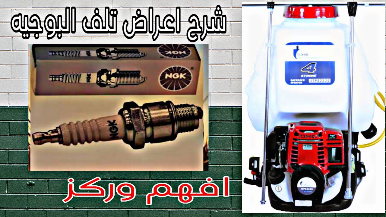 لحظه اعرف امتي تغير البوجيه  الاعراض والأسباب