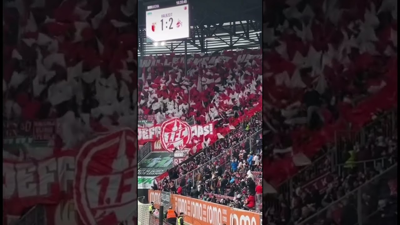 FCA-KOE Choreo &hearts;️🤍🐐 #fck&ouml;ln #bundesliga #fans #fcaugsburg #choreo #stadium #fu&szlig;ball #youtube
