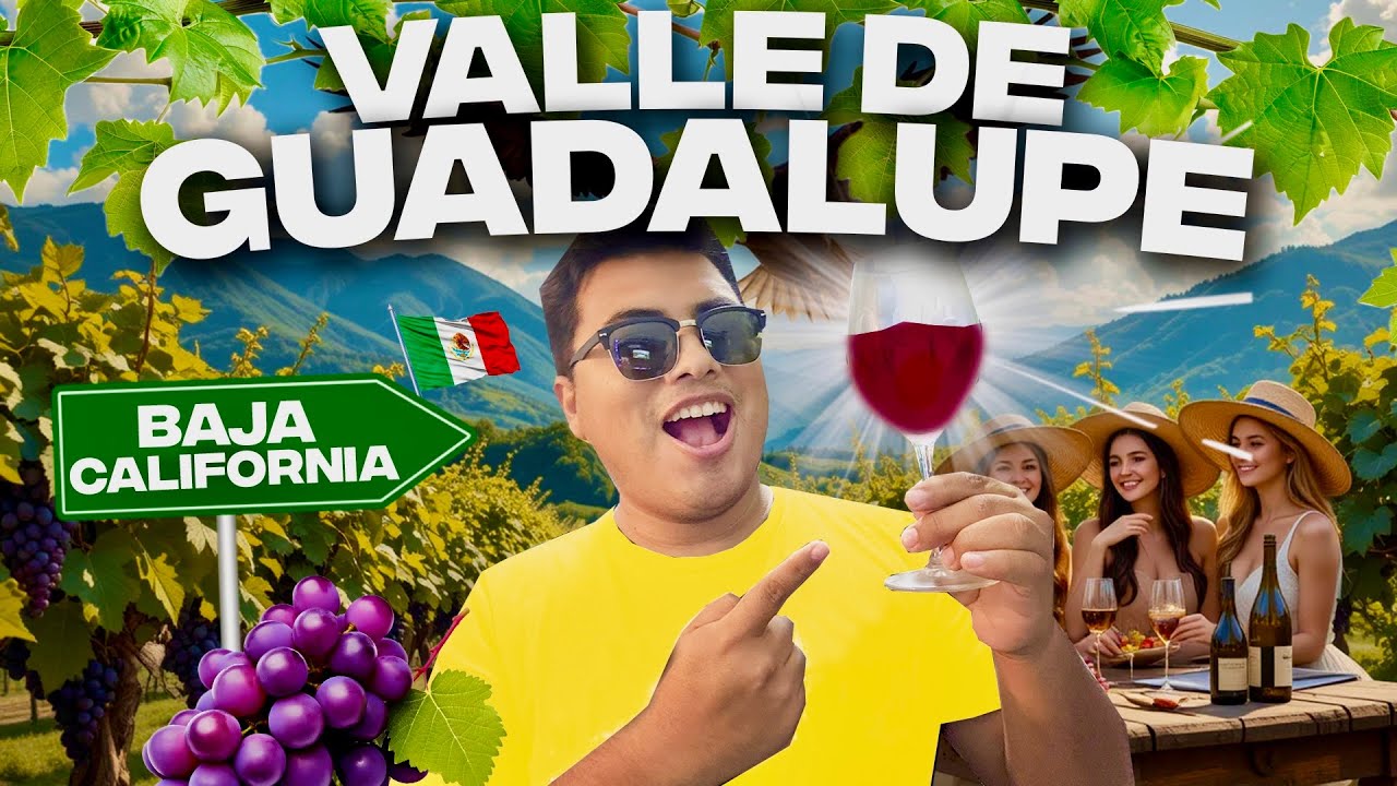 VALLE de GUADALUPE 🇲🇽 La CAPITAL del VINO en MÉXICO 🍷 GUIA COMPLETA ✅ Qué hacer? Hospedaje & tours